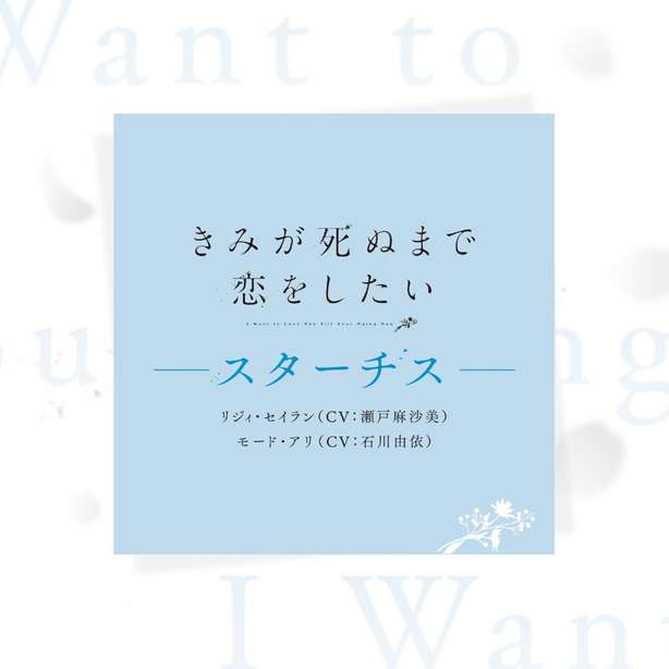 『スターチス』